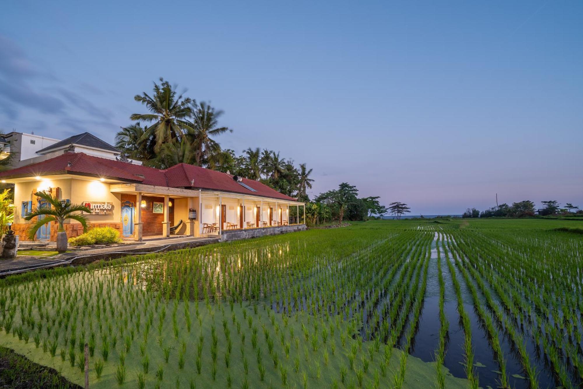Nirmala Guest House Surf Keramas Exterior photo